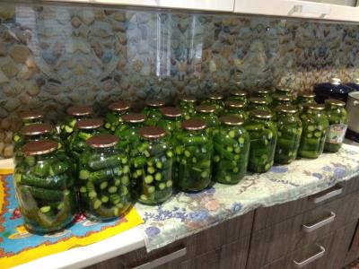 Прикрепленное изображение: IMG_20180623_145510.jpg